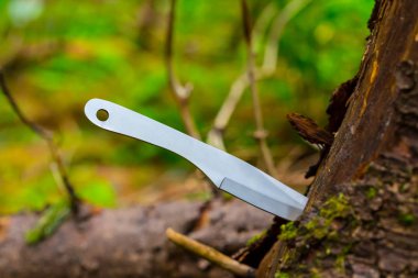 Ağaç kütüğüne bıçak yumruğu atmak