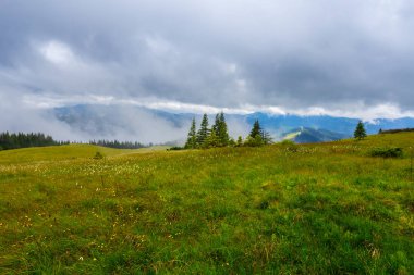 yeşil dağ mera sisli bulutlar bir yağmur sonra