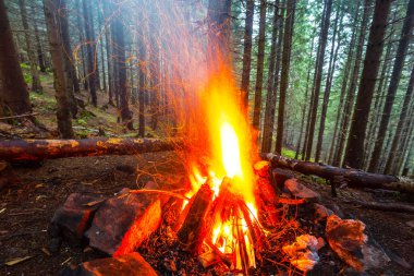 closeup turistik kampı ateş bir ıslak çam ormanda