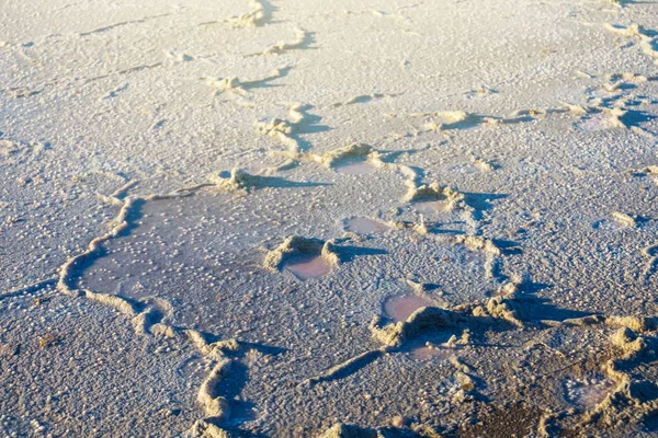 Gros Plan Sec Fissuré Fond Saleté — Photo