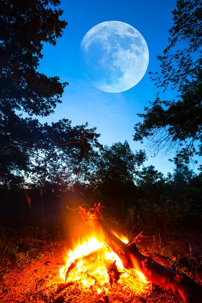 Fuoco Del Campo Turistico Una Foresta Crepuscolo Mezza Luna Sopra — Foto Stock