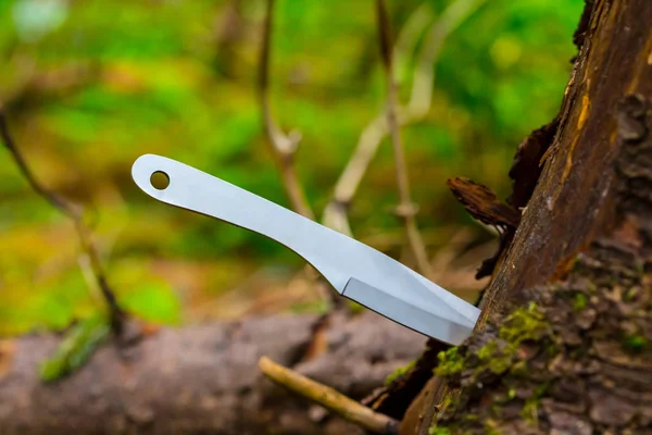 Ağaç kütüğüne bıçak yumruğu atmak