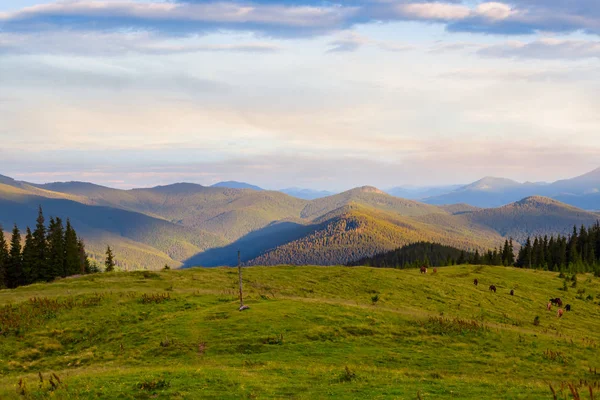 Zielonej Dolinie Pośród Gór Skich Łańcuchów — Zdjęcie stockowe