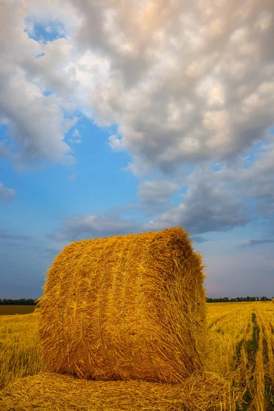 Closeup Haystack Field Harvest — Stock Photo, Image
