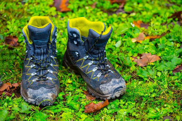 Closeup Wet Touristic Boots Grass — Stock Photo, Image