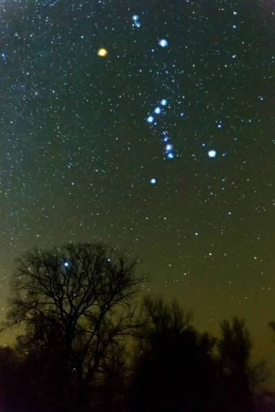 Costellazione Orione Cielo Notturno Sopra Una Silhouette Foresta Scura — Foto Stock