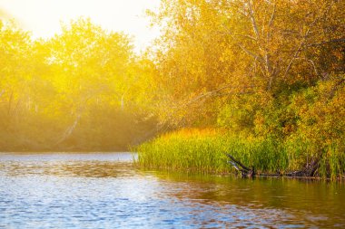 akşam sonbahar sahne, bir güneş ışığı altında küçük nehir