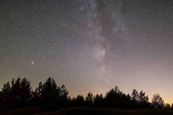 Escena Nocturna Vía Lechosa Sobre Bosque Oscuro — Foto de Stock