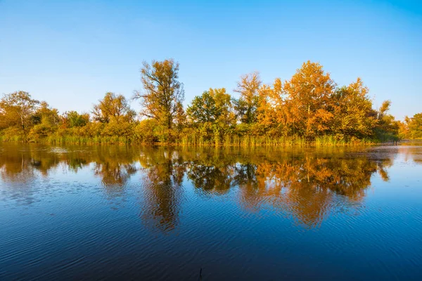 Jesienny Krajobraz Jezioro Ciche Czerwony Las — Zdjęcie stockowe