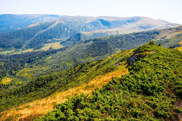 Hermoso Paisaje Montaña Cresta Montaña Valle Con Bosque — Foto de Stock