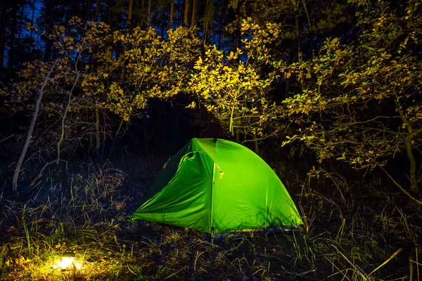 Acampamento Turístico Uma Floresta Noite — Fotografia de Stock