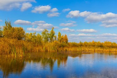Kırmızı sonbahar ormandaki küçük bir göl
