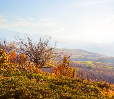 Kuru bush ile dağ yamacı