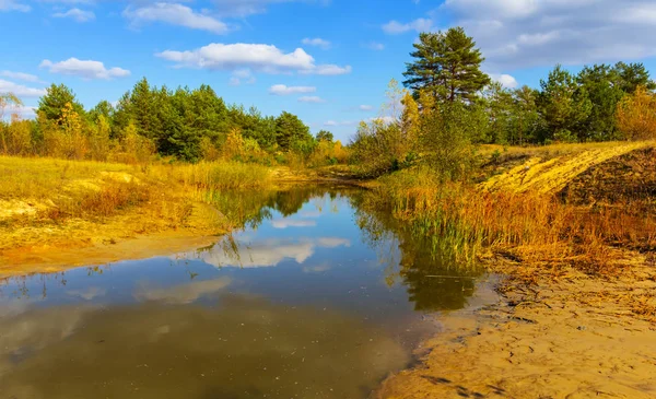 Pequeno Lago Entre Floresta Outono — Fotografia de Stock