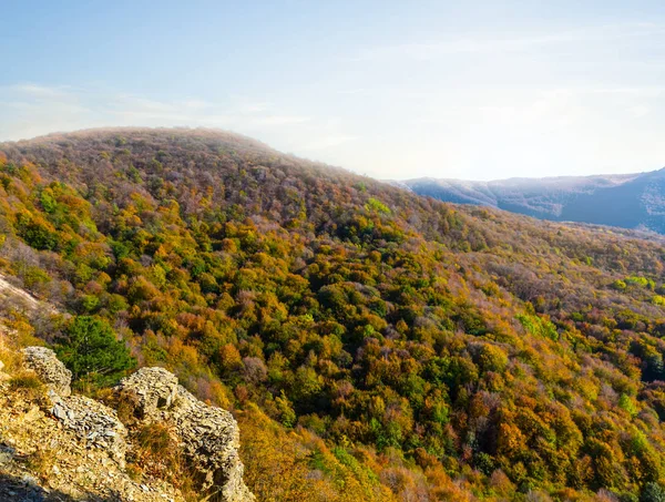 Bergtal Mit Trockenem Roten Wald — Stockfoto