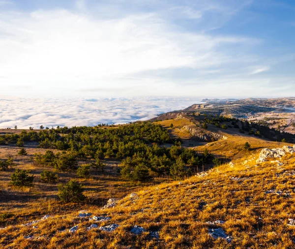 Altopiano Montagna Con Erba Secca Sopra Una Densa Nuvole — Foto Stock