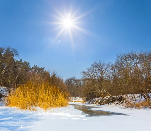 Vintern Frusna Floden Den Soliga Dagen — Stockfoto
