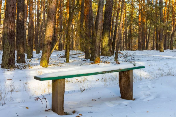 Small Wooden Bench Winter Snowbound Forest — Stock Photo, Image