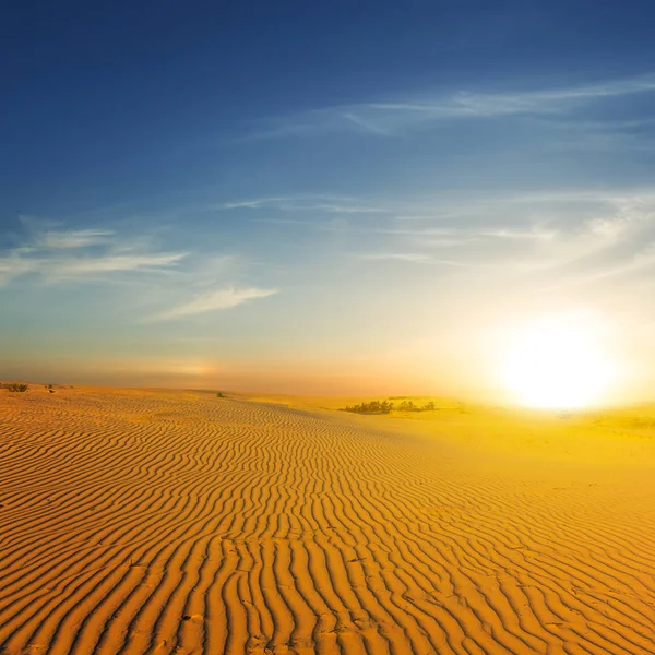 Desierto Arenoso Caliente Atardecer Dramático — Foto de Stock