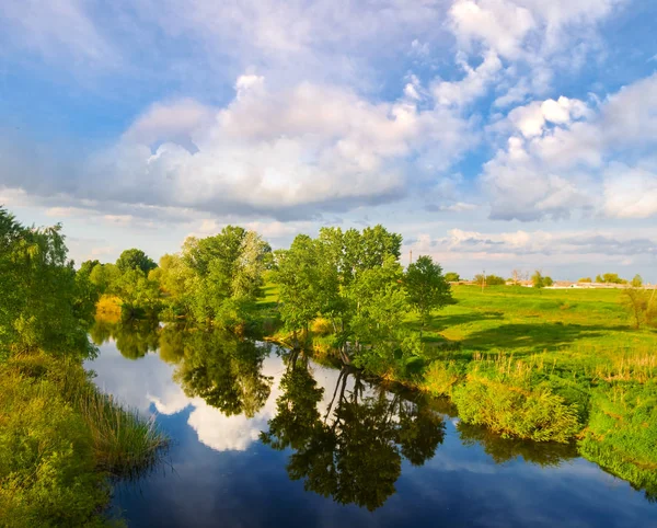 夏の田園風景 木の中で小さな静かな川 — ストック写真