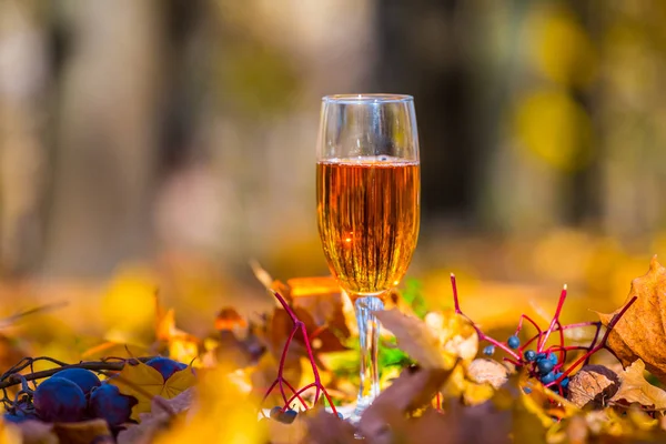 Closeup Wine Glass Red Dry Maple Leaves — Stock Photo, Image