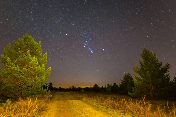 Orion constellation above a night prairie with pine trees