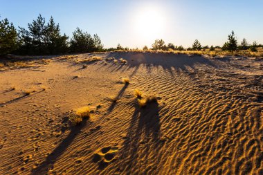 gün batımında Kum Çölü