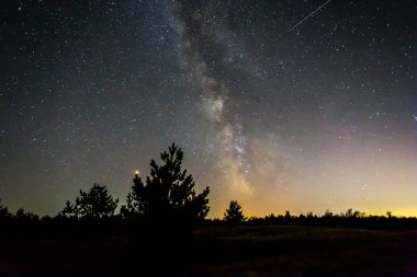 gece orman siluet yıldızlı gökyüzü arka plan üzerinde