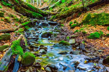 küçük dağ nehir bir kanyonda acele