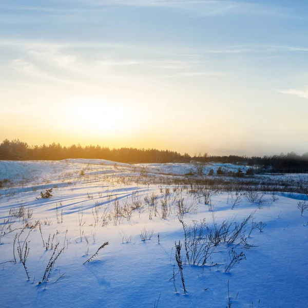 Schneefreie Winterliche Ebene Bei Sonnenaufgang — Stockfoto