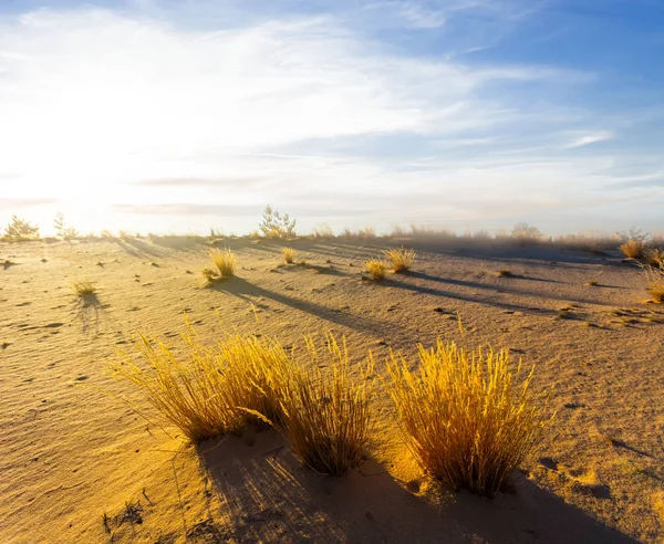 夕暮れ時 砂の砂漠のシーン — ストック写真