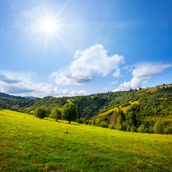 在阳光明媚的日子里 绿色的山谷 — 图库照片