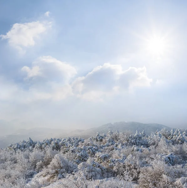 Winter Heuvel Met Snowbound Bos Onder Een Hemel Van Sparkle — Stockfoto