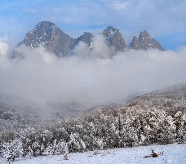 Bonito Inverno Floresta Nevada Alta Cordilheira Uma Nuvem — Fotografia de Stock