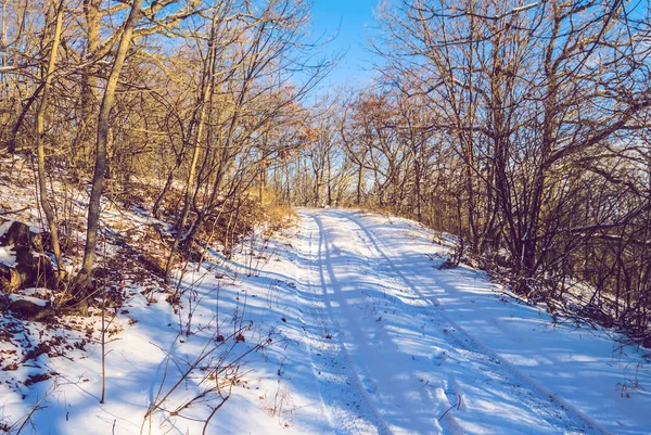 Route Travers Forêt Hiver Dans Une Neige — Photo