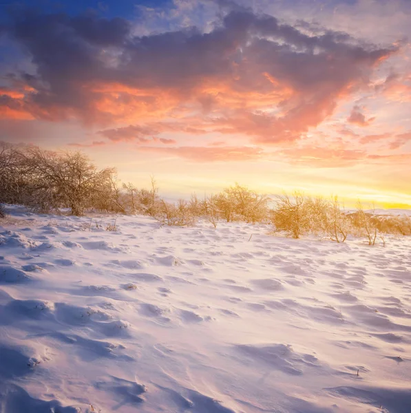 Inverno Pianura Innevata Tramonto Drammatico — Foto Stock