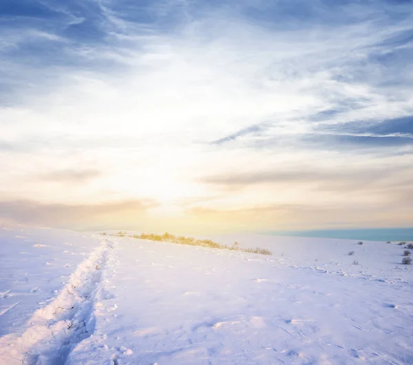 Champ Hiver Dans Une Neige Coucher Soleil — Photo