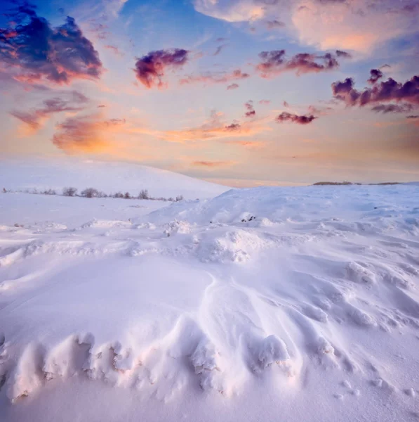 Inverno Nevoso Pianura Scena Crepuscolo — Foto Stock