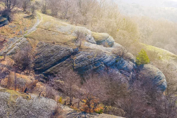 森と山の斜面をクローズ アップ — ストック写真