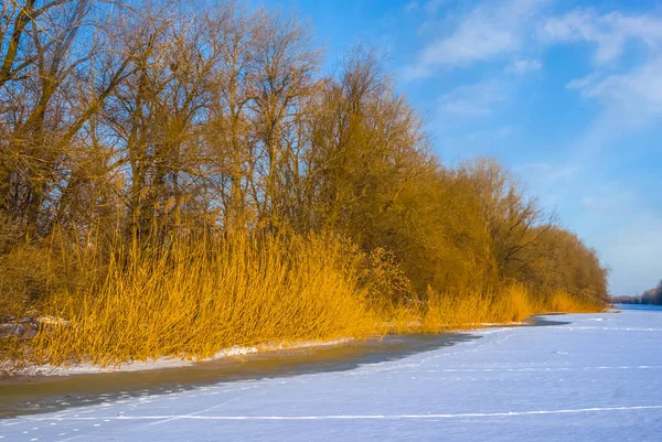 冻结的冬季河的海岸 — 图库照片