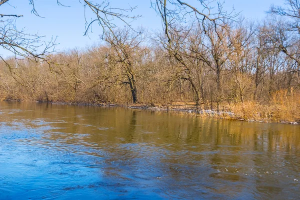 Hermoso Corriendo Azul Primavera Río Escena — Foto de Stock