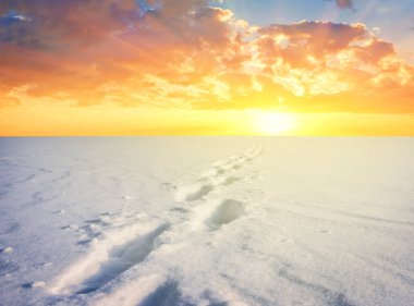 gün batımında kış grubunu alan