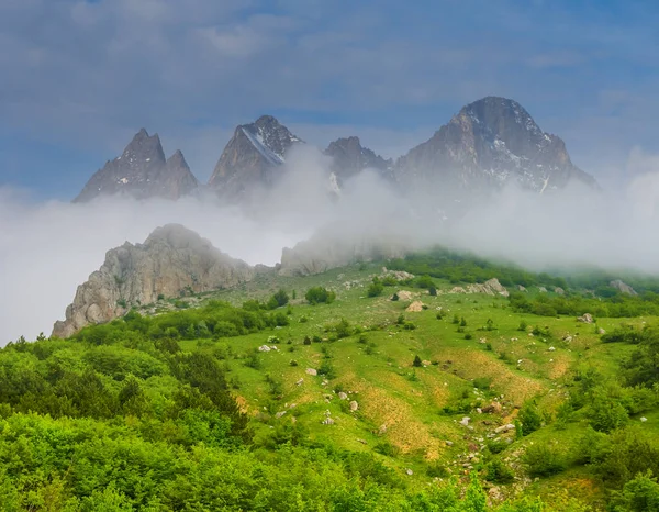 Beautiful Green Mountain Valley Scene Dense Mist — Stock Photo, Image