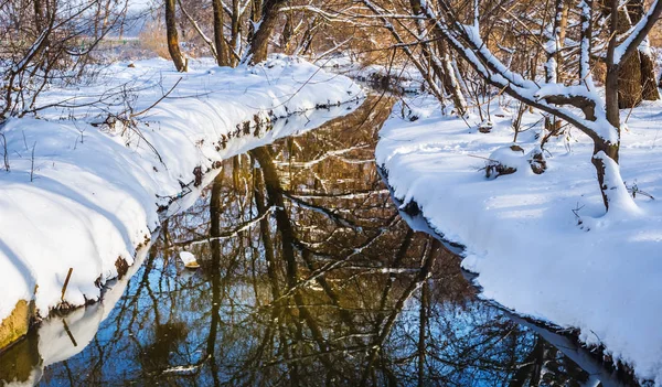 Closeup Calm River Winter Forest — Stock Photo, Image