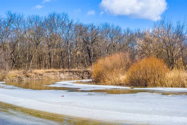 冬天冰冻的河流在明亮的日子 — 图库照片
