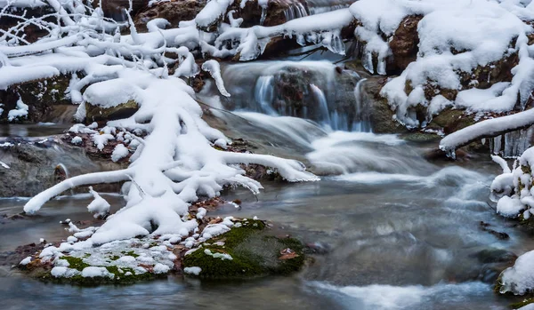 Liten Bäck Rusar Bland Insnöade Berget Ravinen — Stockfoto