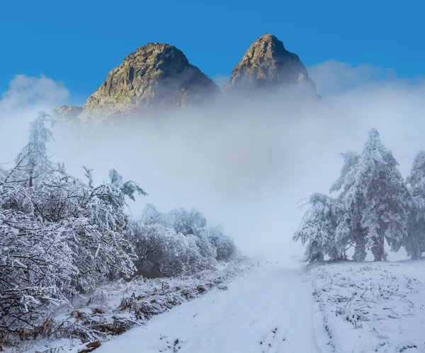 冬景色 山の谷で冬の森を通る道路 — ストック写真