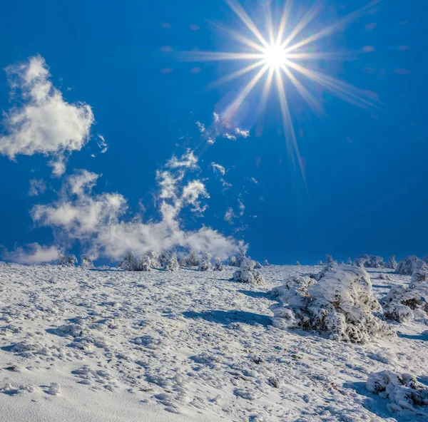 Belle Plaine Hiver Sous Soleil Étincelant — Photo