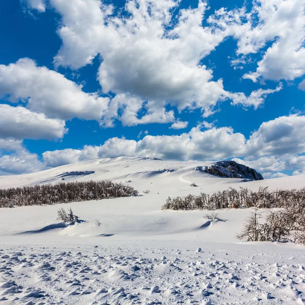 多云的天空下的冬季雪原 — 图库照片