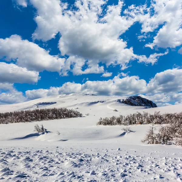 Winter Snowbound Vlakte Onder Een Bewolkte Hemel — Stockfoto